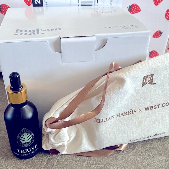 Jilly ❤️ Box Plant 🪴 Items - Picture 1 of 4